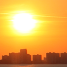 Sunny